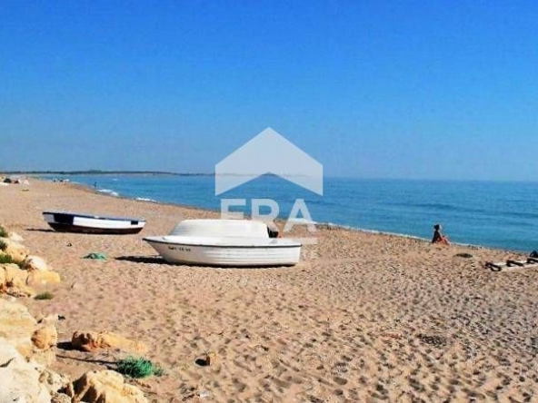 Парцел в Шабла - 5000 кв.м за 58 €/кв.м - Снимка #1