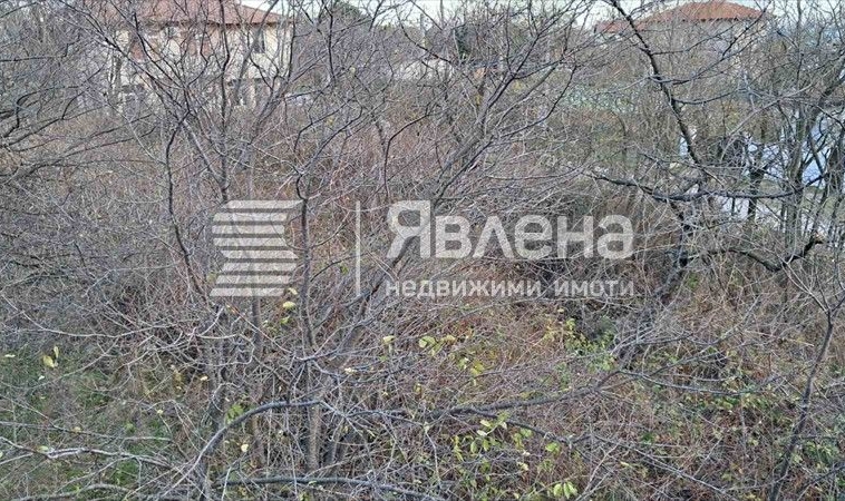 Къща в Варна, м-т Боровец - север - 916 кв.м за 75 €/кв.м - Снимка #1