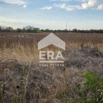 Парцел в с. Казичене, Област София-град - 2400 кв.м за 39 €/кв.м - Снимка #1