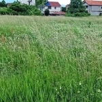 Парцел в с. Чепинци, Област София-град - 700 кв.м за 100 €/кв.м - Снимка #1