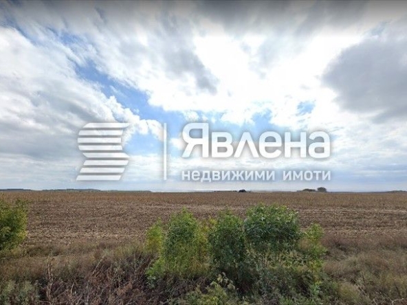 Парцел в с. Кичево, Област Варна - 2000 кв.м за 50 €/кв.м - Снимка #1