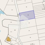 Земеделски имот в с. Цонево, Област Варна -  кв.м за 3 €/дка - Снимка #1