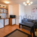 Дава се под наем Двустаен апартамент в София, Център - 50 кв.м за 450 € - Снимка #1