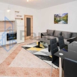 Дава се под наем Тристаен апартамент в София, Дружба 2 - 67 кв.м за 598.23 € - Снимка #1