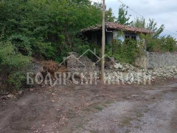 Парцел в с. Момин сбор, Област Велико Търново - 2195 кв.м за 30 €/кв.м - Снимка #1