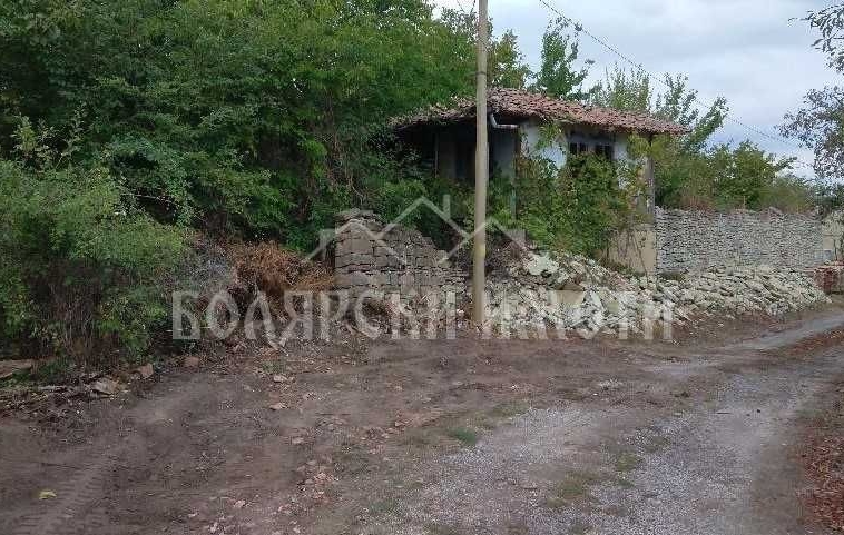 Парцел в с. Момин сбор, Област Велико Търново - 2195 кв.м за 15 €/кв.м - Снимка #1