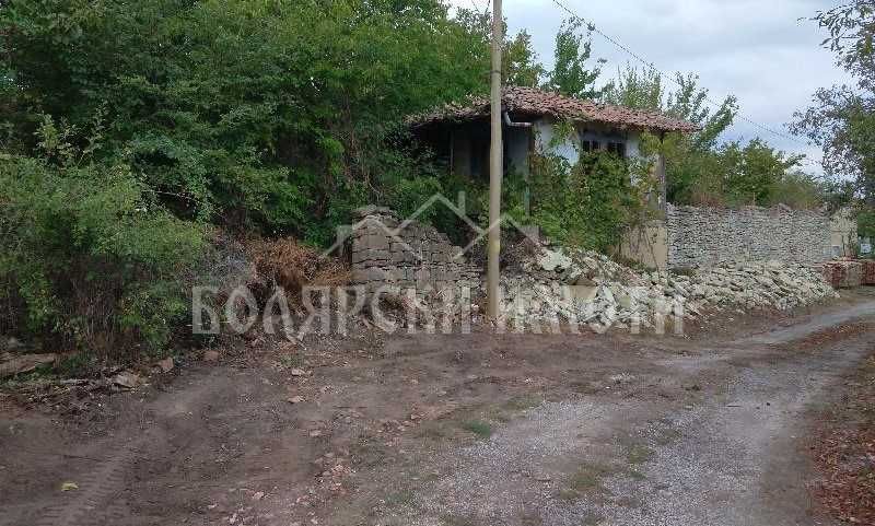 Парцел в с. Момин сбор, Област Велико Търново - 2195 кв.м за 15 €/кв.м - Снимка #1