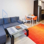 Дава се под наем Двустаен апартамент в София, Младост 4 - 67 кв.м за 548.25 € - Снимка #1