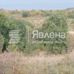 Земеделски имот в Царево -  кв.м за 2 €/дка - Снимка #1