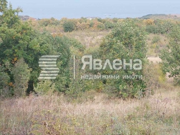 Земеделски имот в Царево -  кв.м за 2 €/дка - Снимка #1