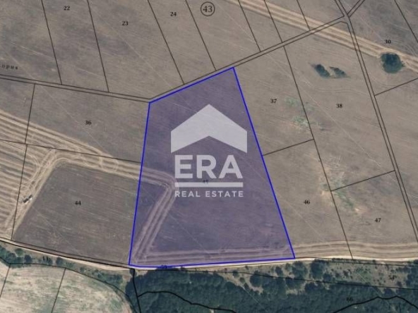 Парцел в с. Пауново, Област София-област - 31800 кв.м за 12 €/кв.м - Снимка #1