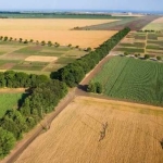 Земеделски имот в Добрич, Център -  кв.м за 385 €/дка - Снимка #1