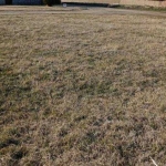 Парцел в с. Могилище, Област Добрич - 1260 кв.м за 9 €/кв.м - Снимка #1