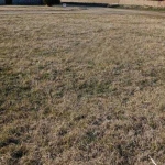 Парцел в с. Могилище, Област Добрич - 1260 кв.м за 9 €/кв.м - Снимка #1