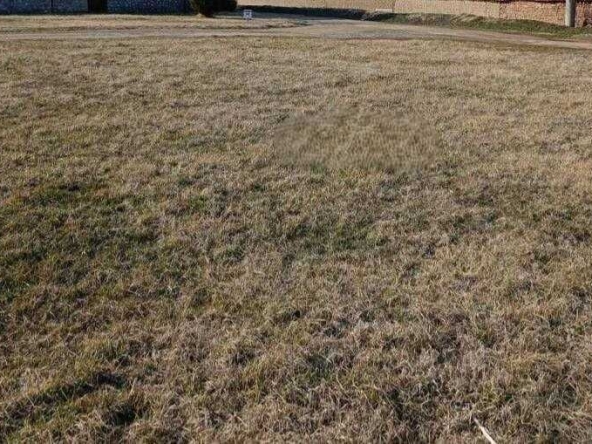 Парцел в с. Могилище, Област Добрич - 1260 кв.м за 9 €/кв.м - Снимка #1