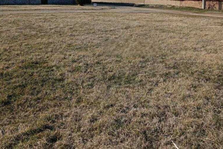 Парцел в с. Могилище, Област Добрич - 1260 кв.м за 9 €/кв.м - Снимка #1