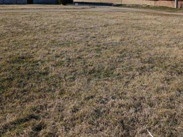 Парцел в с. Могилище, Област Добрич - 1260 кв.м за 9 €/кв.м - Снимка #1