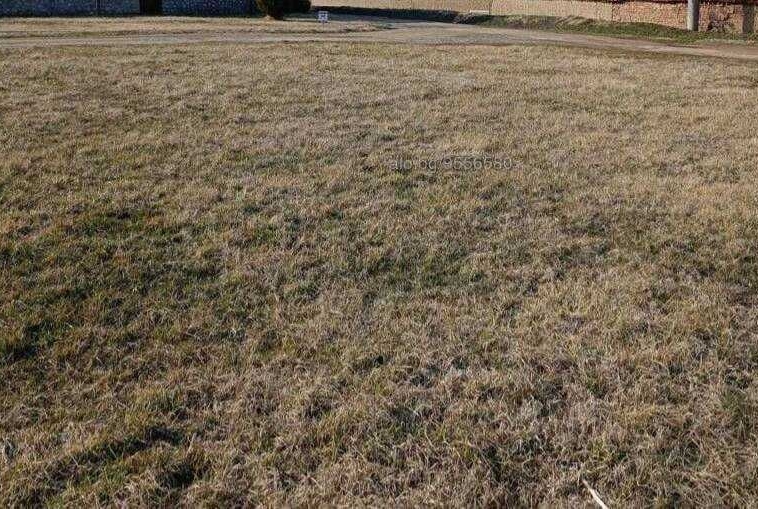 Парцел в с. Могилище, Област Добрич - 1260 кв.м за 9 €/кв.м - Снимка #1