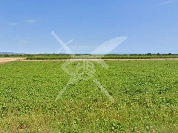 Парцел в с. Бата, Област Бургас - 800 кв.м за 34 €/кв.м - Снимка #1