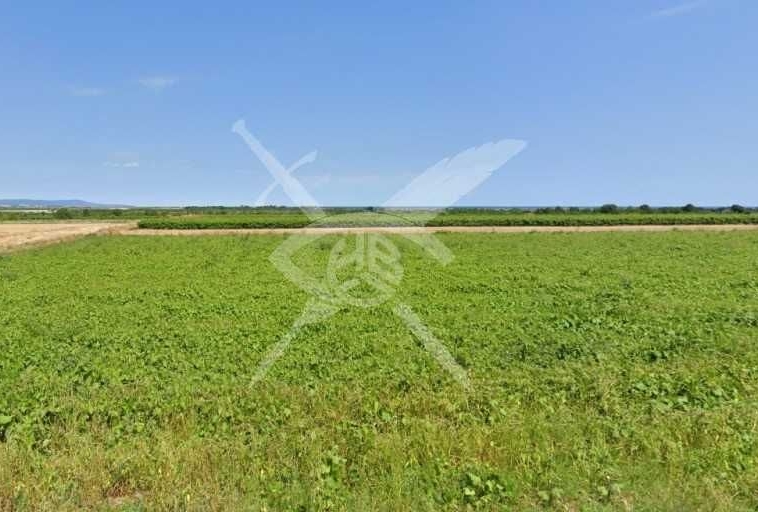 Парцел в с. Бата, Област Бургас - 800 кв.м за 34 €/кв.м - Снимка #1