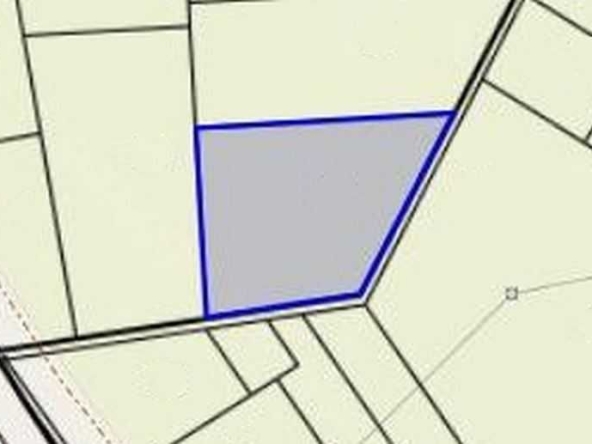 Парцел в с. Тополи, Област Варна - 9500 кв.м за 11 €/кв.м - Снимка #1