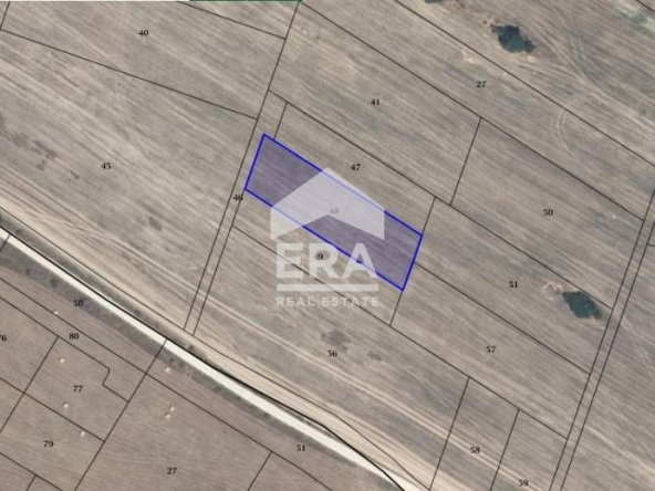 Парцел в с. Пауново, Област София-област - 1500 кв.м за 13 €/кв.м - Снимка #1