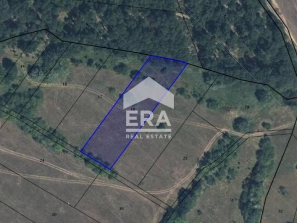 Парцел в с. Пауново, Област София-област - 3000 кв.м за 12 €/кв.м - Снимка #1