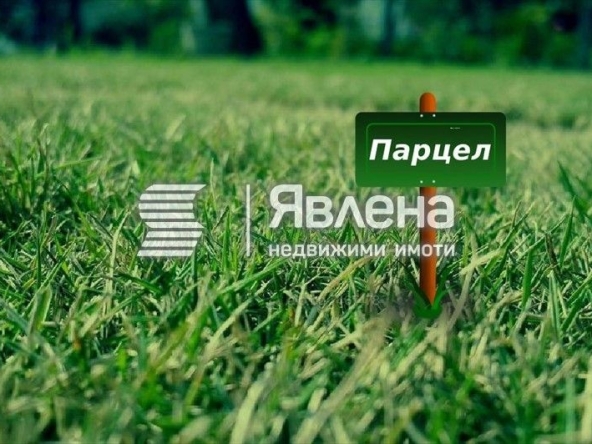 Земеделски имот в с. Оброчище, Област Добрич -  кв.м за 22 €/дка - Снимка #1