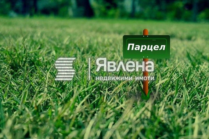 Земеделски имот в с. Оброчище, Област Добрич -  кв.м за 22 €/дка - Снимка #1