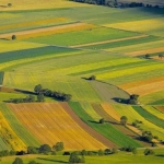 Земеделски имот в София, Зона Б-18 -  кв.м за 219 €/дка - Снимка #1