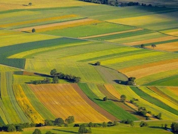 Земеделски имот в София, Зона Б-18 -  кв.м за 219 €/дка - Снимка #1