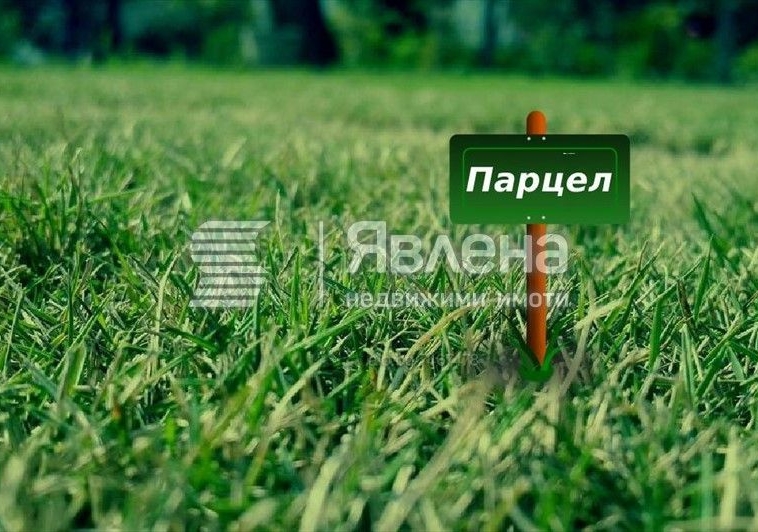 Парцел в Варна, Виница - 6076 кв.м за 38 €/кв.м - Снимка #1