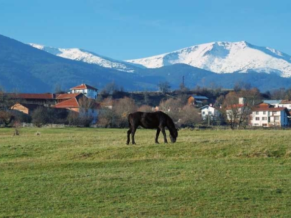 Парцел в с. Годлево, Област Благоевград - 1040 кв.м за 30 €/кв.м - Снимка #1