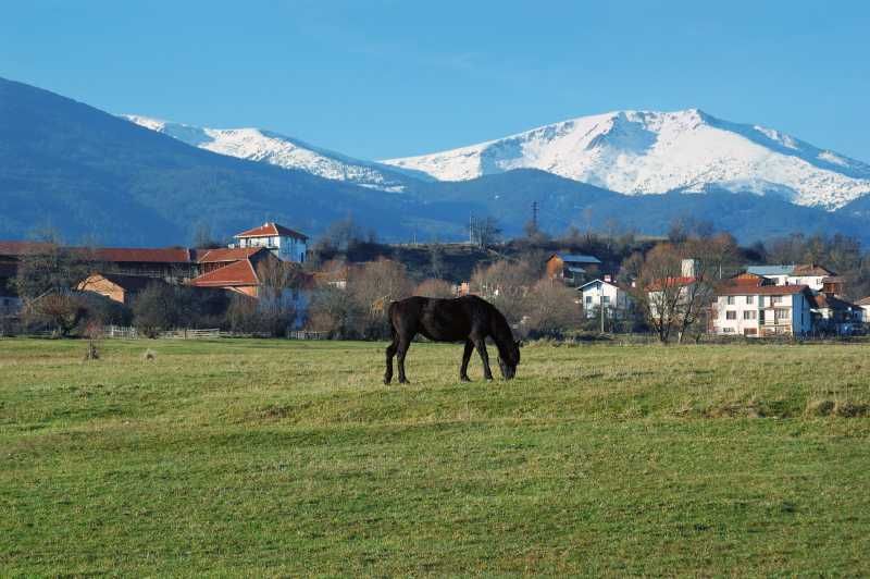Парцел в с. Годлево, Област Благоевград - 1040 кв.м за 30 €/кв.м - Снимка #1