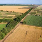 Земеделски имот в Габрово, Борово -  кв.м за 1447 €/дка - Снимка #1