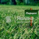 Парцел в Варна, м-т Прибой - 1999 кв.м за 43 €/кв.м - Снимка #1