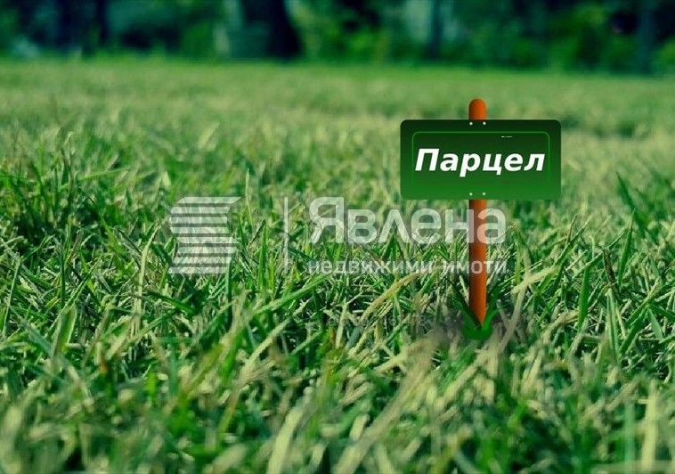 Парцел в Варна, Виница - 6076 кв.м за 75 €/кв.м - Снимка #1