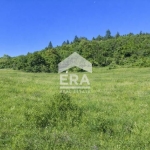 Парцел в с. Кокаляне, Област София-град - 2300 кв.м за 31 €/кв.м - Снимка #1