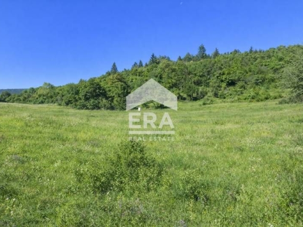 Парцел в с. Кокаляне, Област София-град - 2300 кв.м за 31 €/кв.м - Снимка #1