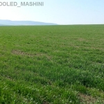 Парцел в с. Александрово, Област Бургас - 350000 кв.м за 6 €/кв.м - Снимка #1