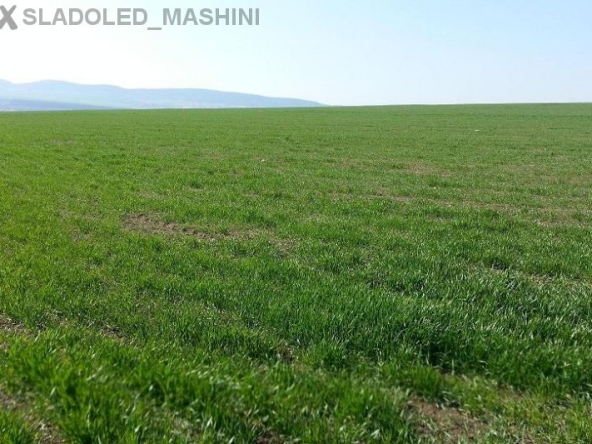 Парцел в с. Александрово, Област Бургас - 350000 кв.м за 6 €/кв.м - Снимка #1