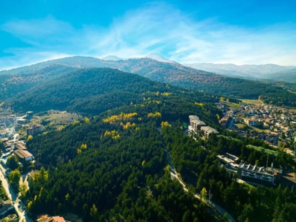 Парцел в Велинград - 41800 кв.м за 80 €/кв.м - Снимка #1