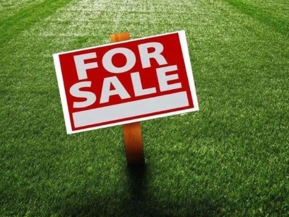 Парцел в Варна, Аспарухово - 4000 кв.м за 62 €/кв.м - Снимка #1