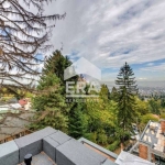 Тристаен апартамент в София, Бояна - 150 кв.м за 1900 €/кв.м - Снимка #1