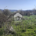 Парцел в с. Рогачево, Област Добрич - 1177 кв.м за 25 €/кв.м - Снимка #1