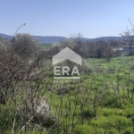 Парцел в с. Рогачево, Област Добрич - 1177 кв.м за 54 €/кв.м - Снимка #1