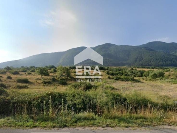 Парцел в Сапарева баня - 9068 кв.м за 42 €/кв.м - Снимка #1