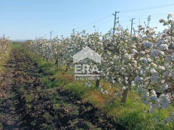 Парцел в Ахелой - 4000 кв.м за 11 €/кв.м - Снимка #1