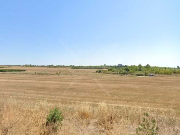 Парцел в Айтос - 21000 кв.м за 8 €/кв.м - Снимка #1