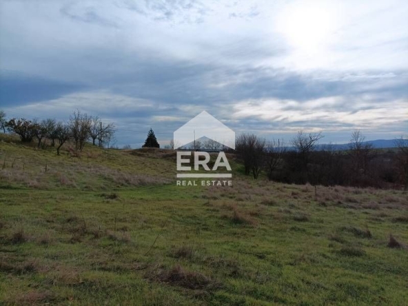 Парцел в с. Садово, Област Варна - 1750 кв.м за 3 €/кв.м - Снимка #1